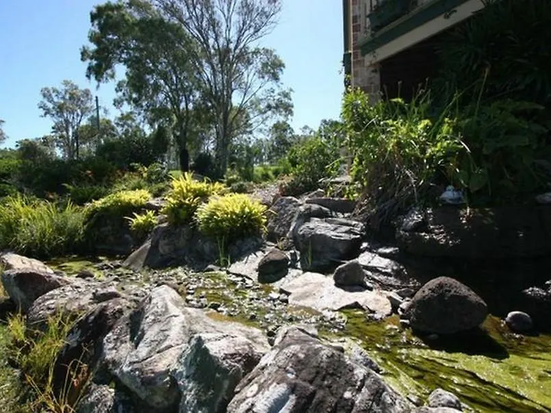 The Bearded Dragon Boutique Hotel Gold Coast Australia