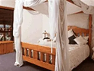 The Bearded Dragon Boutique Hotel Gold Coast
